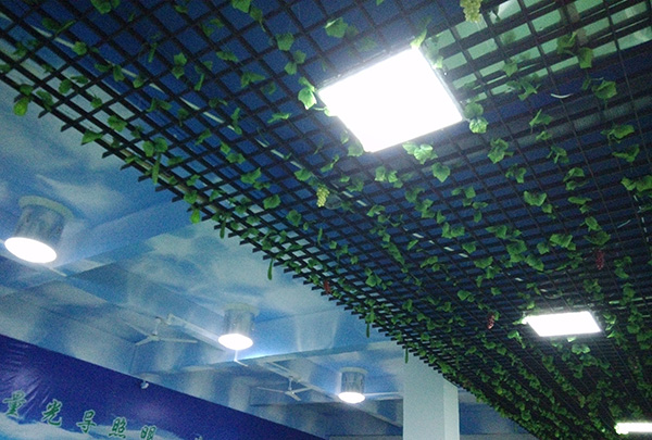PG电子科技中心应用自然光照明系统