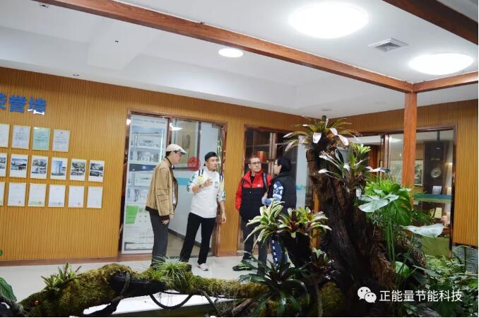 PG电子光导照明